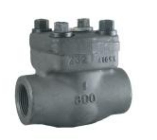 Picture of 3/4 3000# COP CHECK VALVE