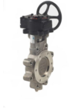 Picture of BUTTERFLY VALVE